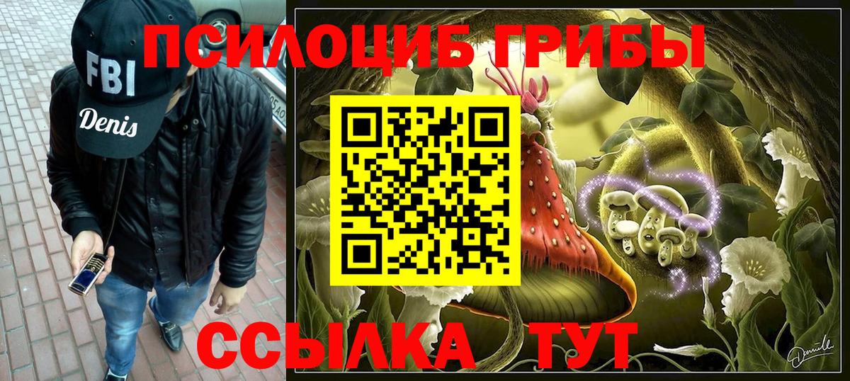 Псилоцибиновые грибы Psilocybine cubensis  Вход с VPN  Петрозаводск 